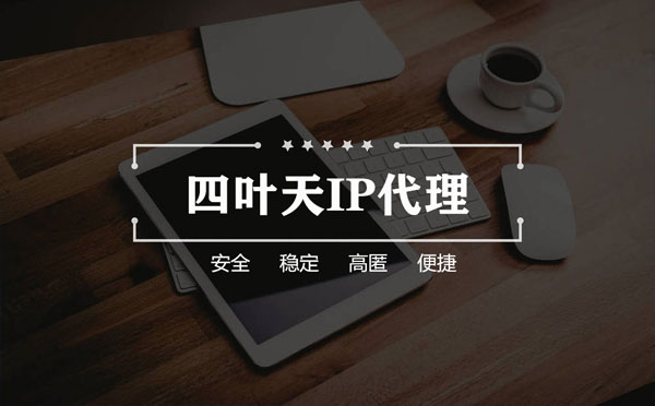 【湘西代理IP】如何快速搭建代理IP？怎么检查代理的效果？